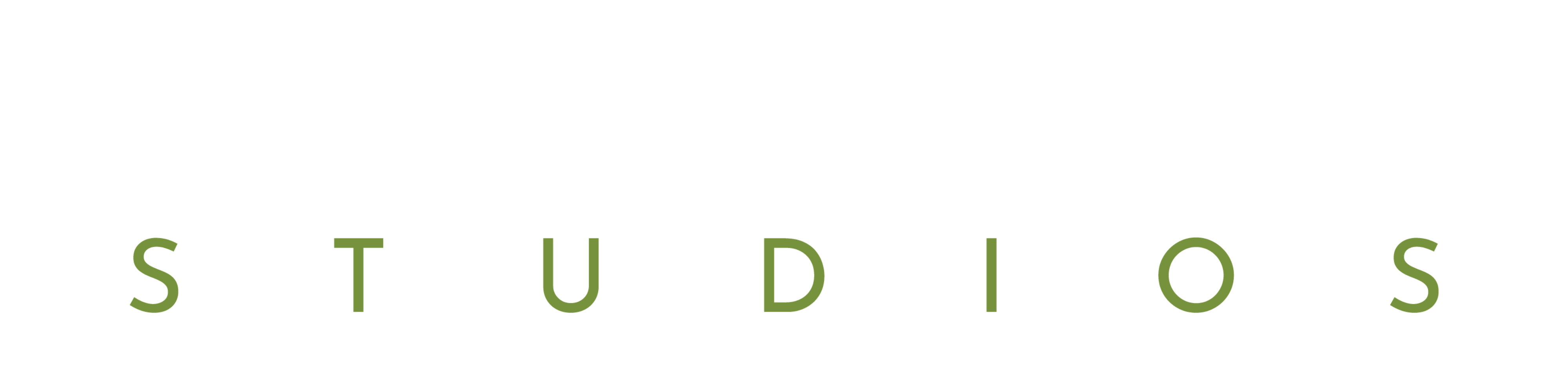 VerspeKtive Studios